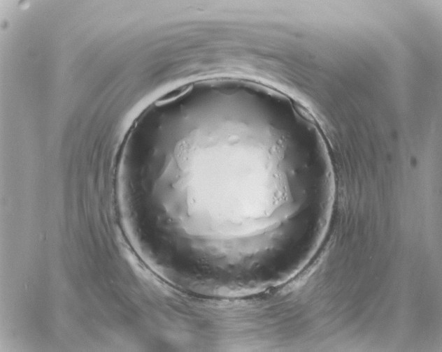 X0000060781534200511171230