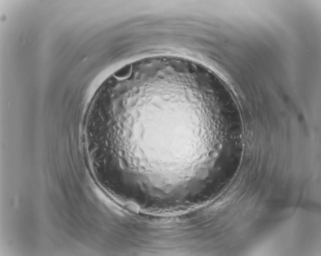 X0000060781535200511171230