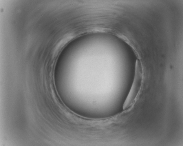 X0000060780001200511241831