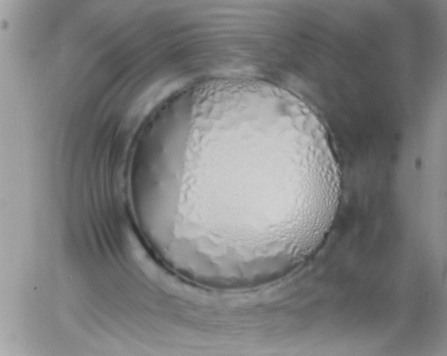 X0000060780002200511241831