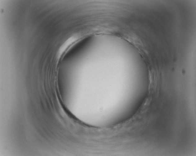 X0000060780003200511241831