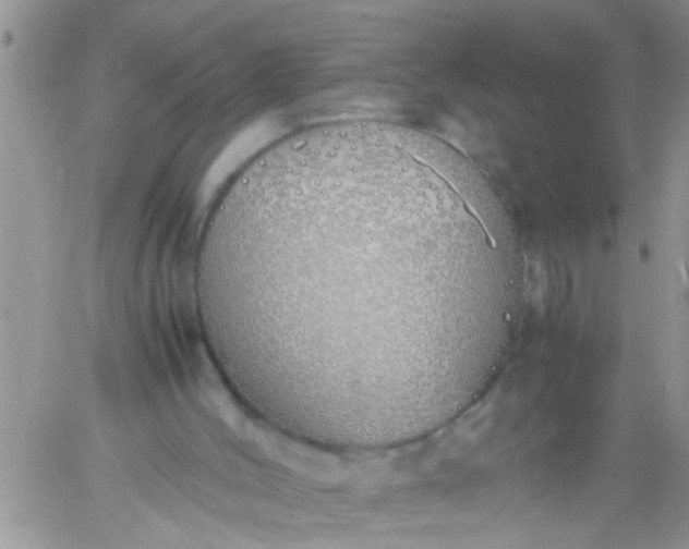 X0000060780004200511241831