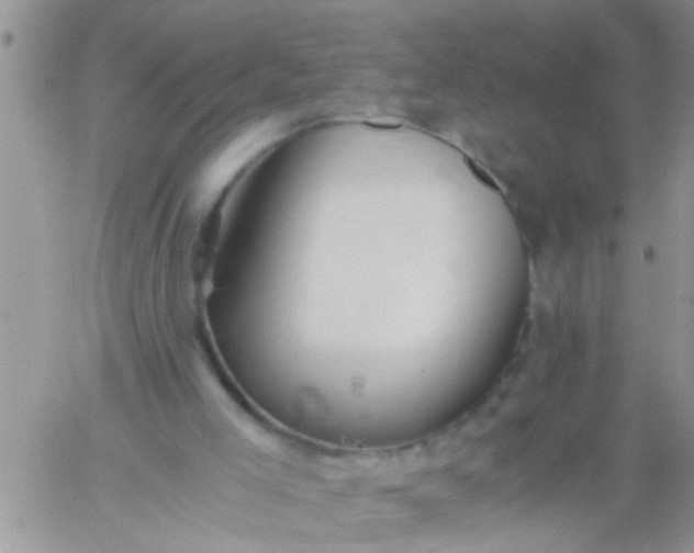 X0000060780005200511241831