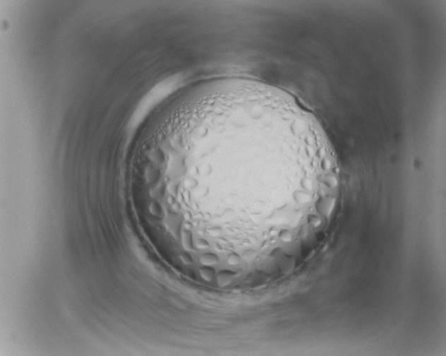 X0000060780006200511241831