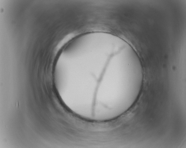 X0000060780008200511241831