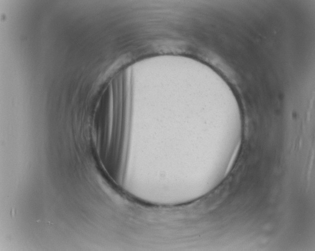 X0000060780009200511241831