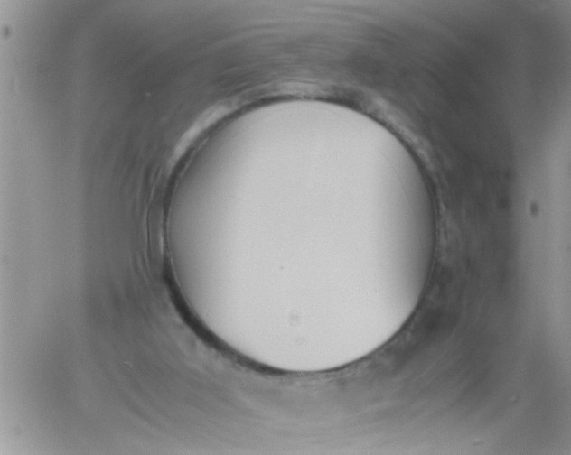 X0000060780011200511241831