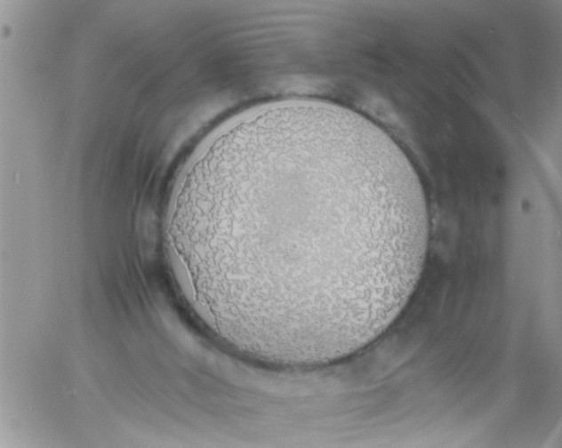 X0000060780012200511241831