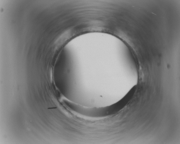 X0000060780013200511241831