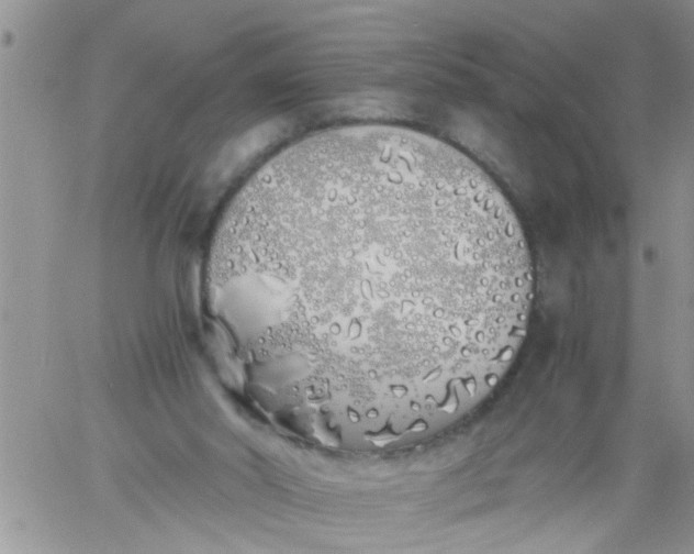 X0000060780014200511241831