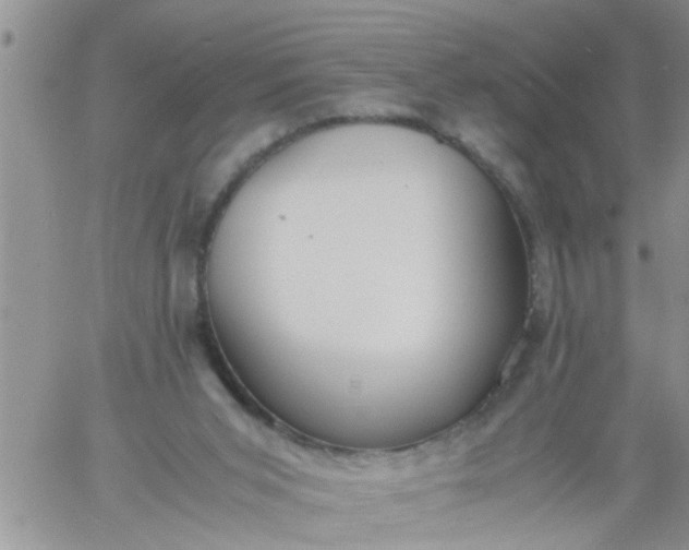 X0000060780015200511241831