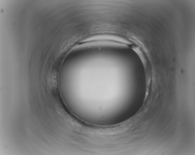 X0000060780017200511241831