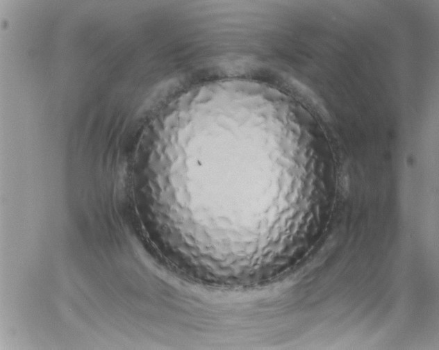 X0000060780018200511241831