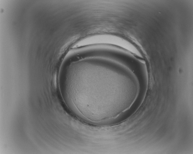 X0000060780019200511241831