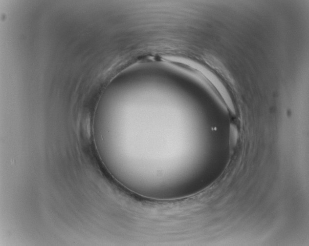 X0000060780021200511241831