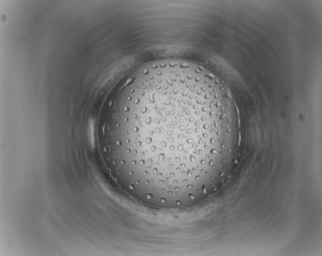 X0000060780022200511241831