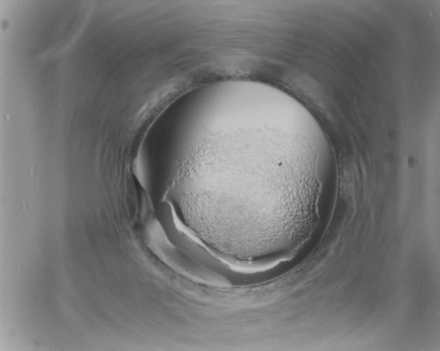 X0000060780023200511241831