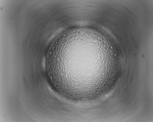 X0000060780024200511241831