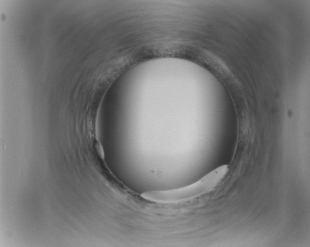 X0000060780025200511241831