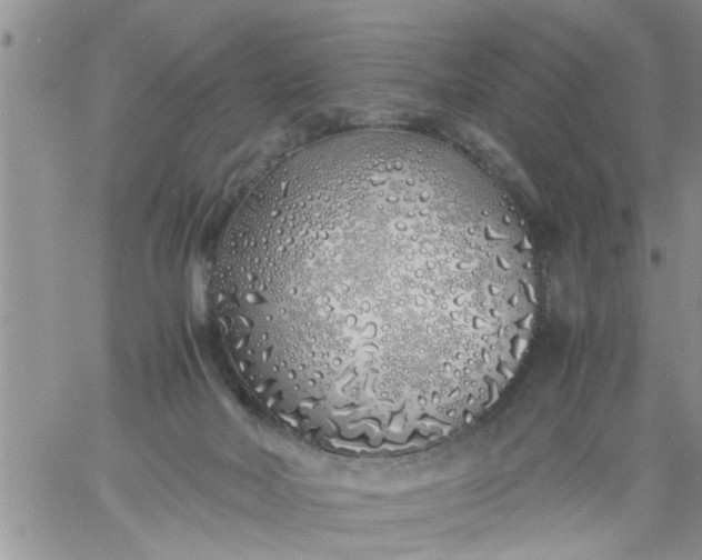 X0000060780026200511241831