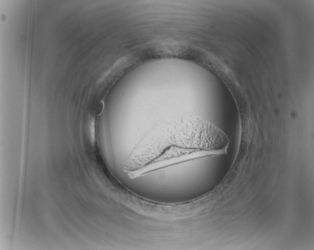 X0000060780027200511241831