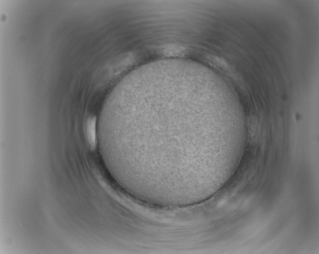 X0000060780028200511241831