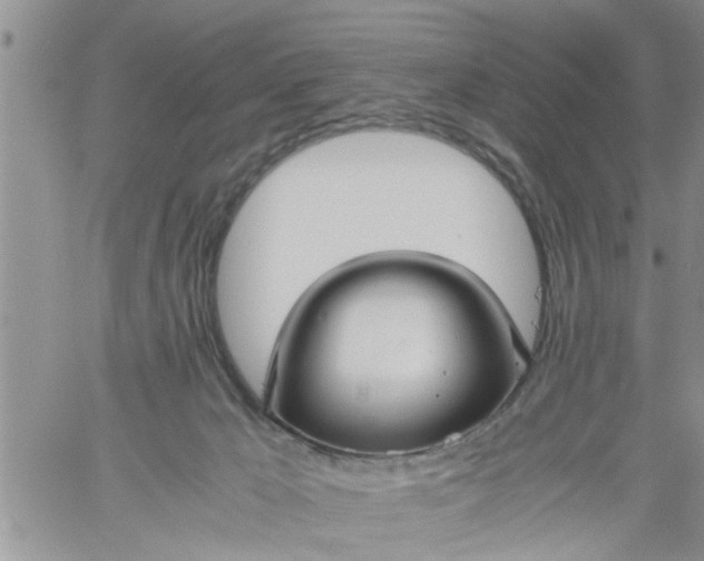 X0000060780029200511241831