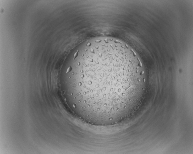 X0000060780030200511241831