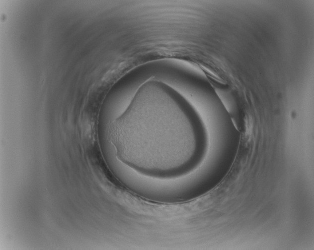 X0000060780031200511241831