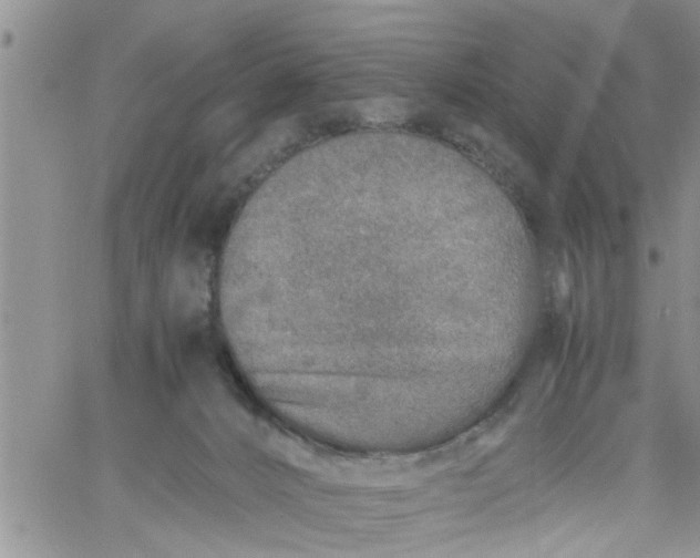 X0000060780032200511241831