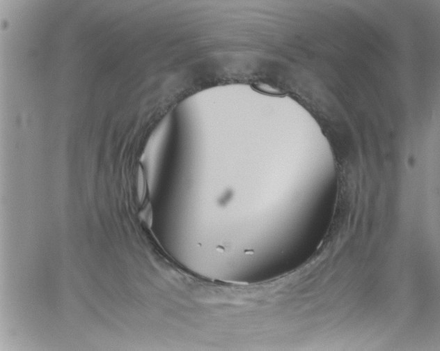 X0000060780033200511241831