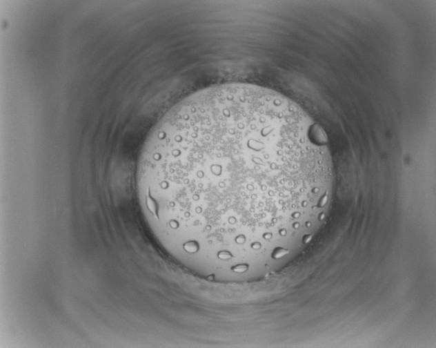 X0000060780034200511241830