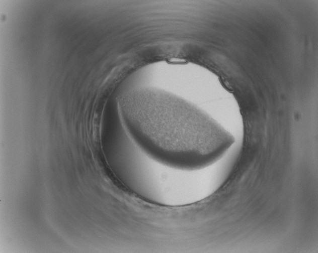 X0000060780035200511241830