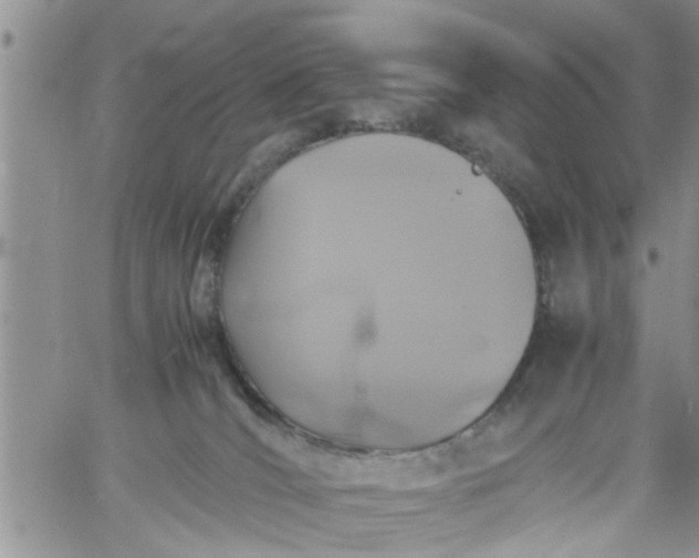 X0000060780036200511241830