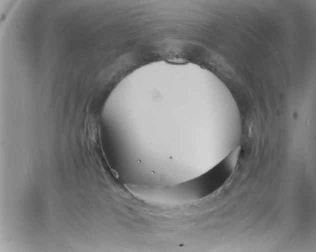 X0000060780037200511241830