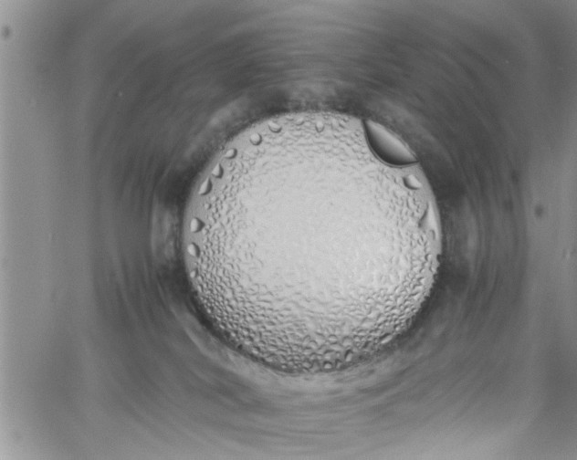 X0000060780038200511241830