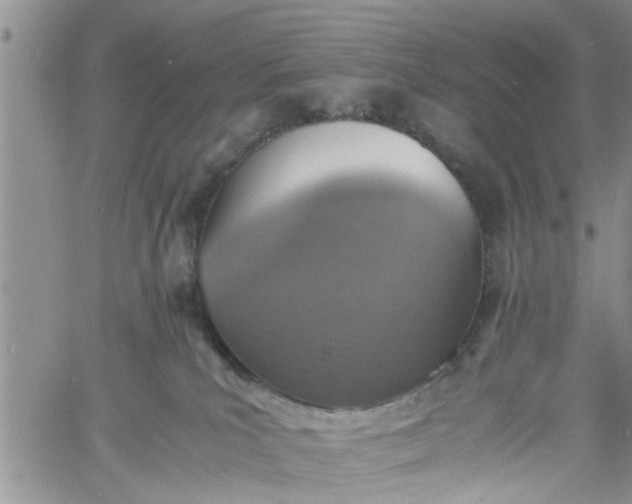 X0000060780039200511241830