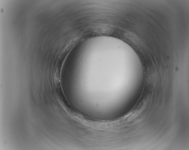 X0000060780040200511241830