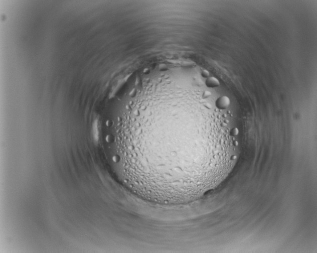 X0000060780042200511241830