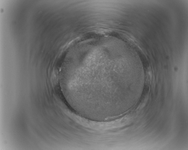 X0000060780043200511241830