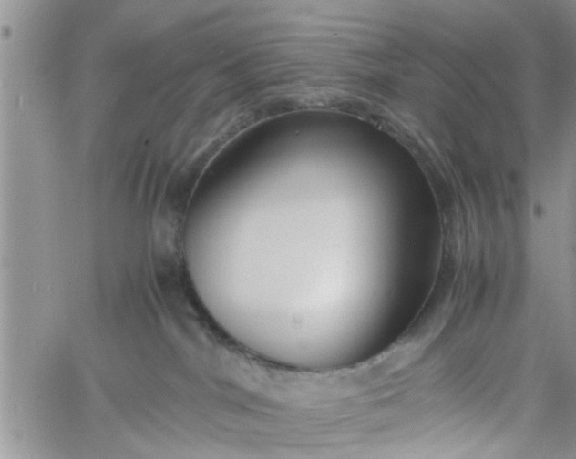 X0000060780044200511241830