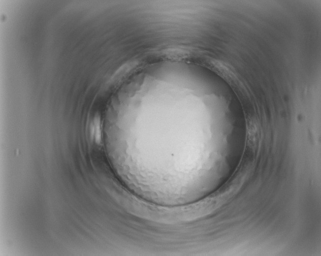 X0000060780046200511241830