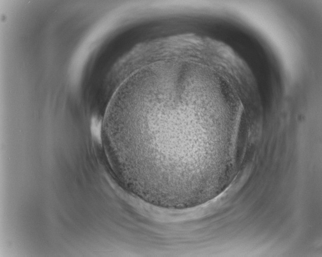 X0000060780047200511241830