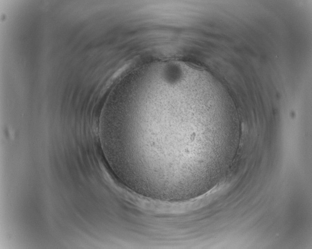 X0000060780048200511241830