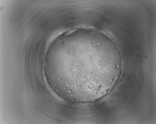 X0000060780049200511241829