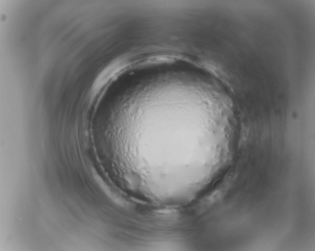 X0000060780053200511241830