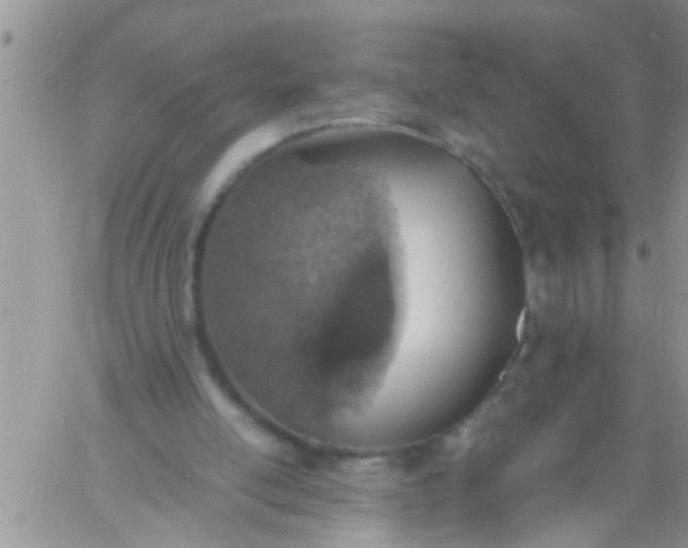 X0000060780054200511241830