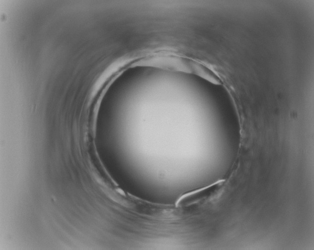 X0000060780056200511241830