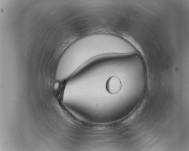 X0000060780057200511241830