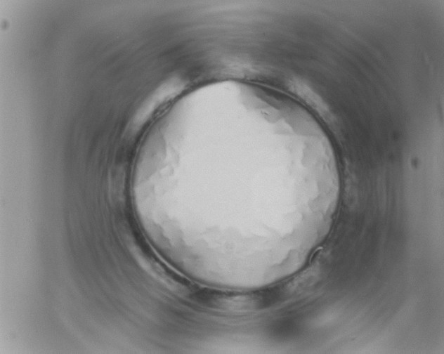 X0000060780058200511241830